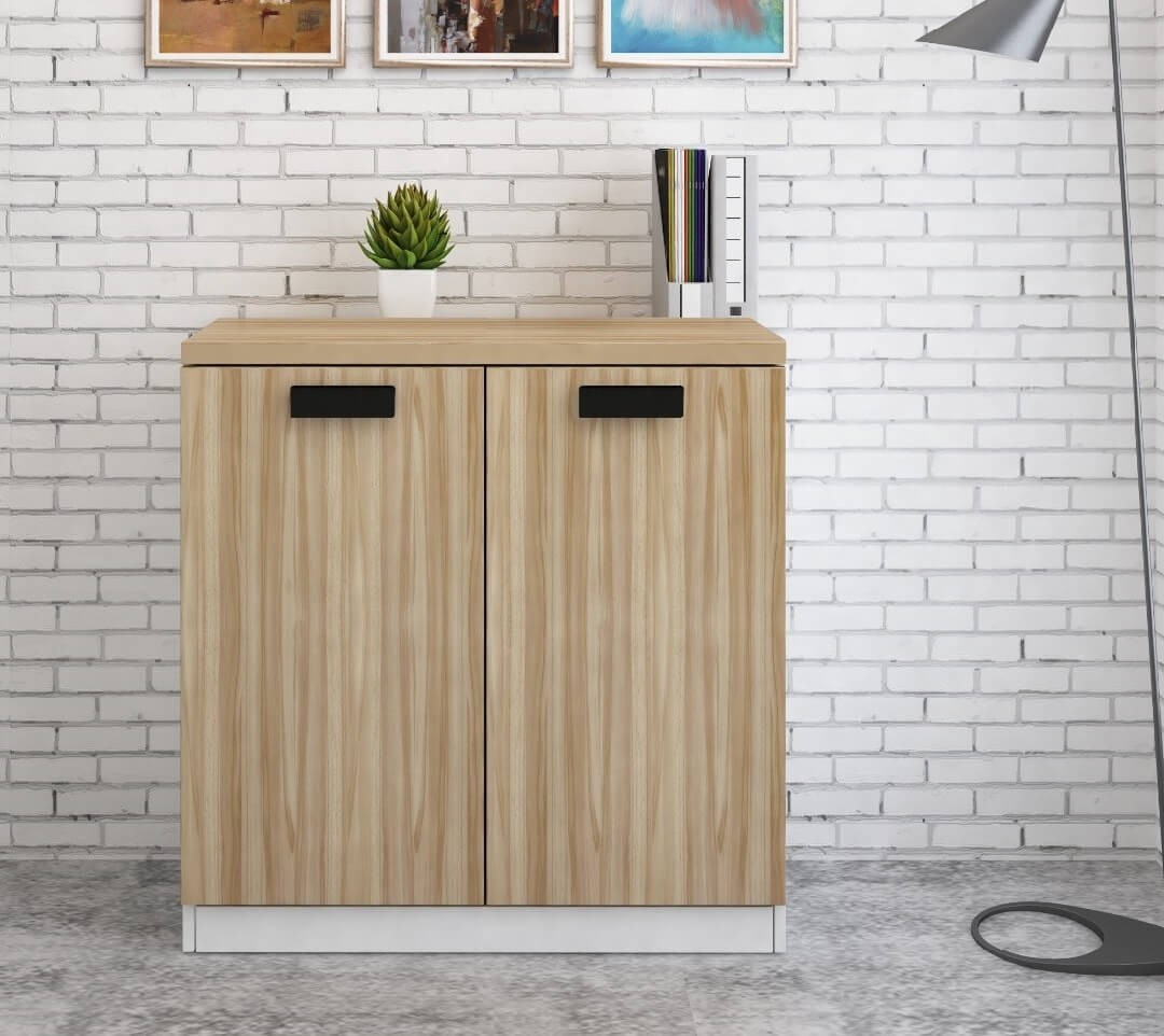 Tủ tài liệu thấp, tủ thấp văn phòng, tủ hồ sơ thấp và các loại tủ hồ sơ mini