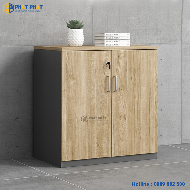 Hệ Tủ Tài Liệu Thấp TLT-04 2C
