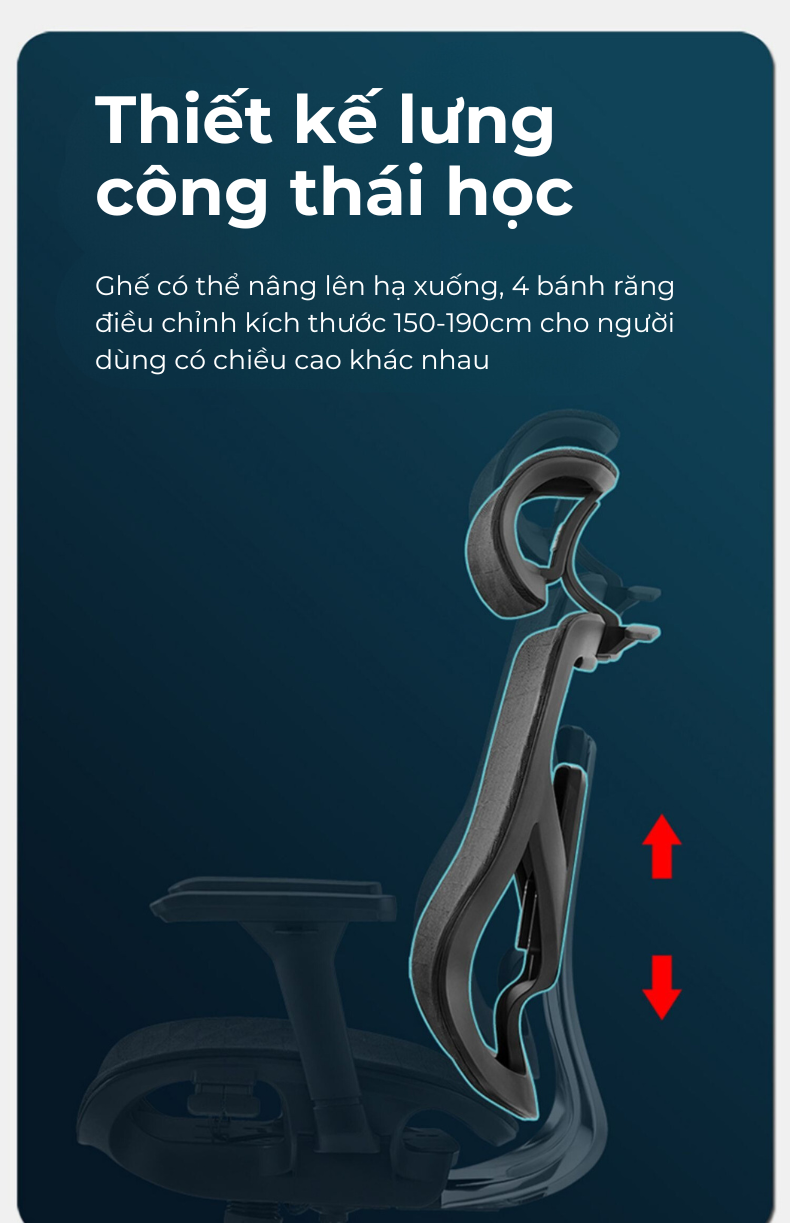 Ghế công thái học lưng kim loại Fly V9-des