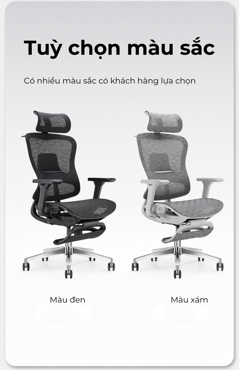 Ghế công thái học lưng kim loại Honey V5-des Ghế công thái học lưng kim loại Honey V5-des